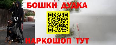 МДПВ Будённовск