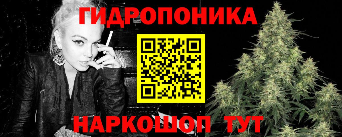 Каннабис марихуана Шуя